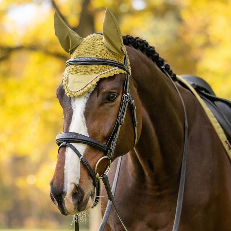 LeMieux Classic Fly Hood Gooseberry