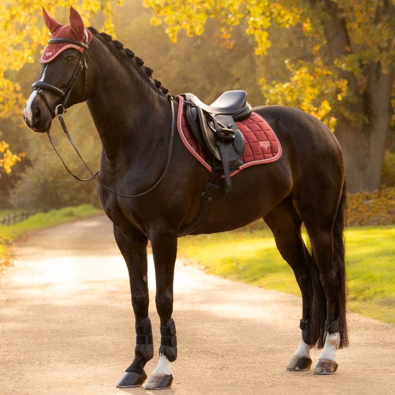 Black horse with braided mane, red tack, LeMieux Loire Classic Russet pad on autumn path.