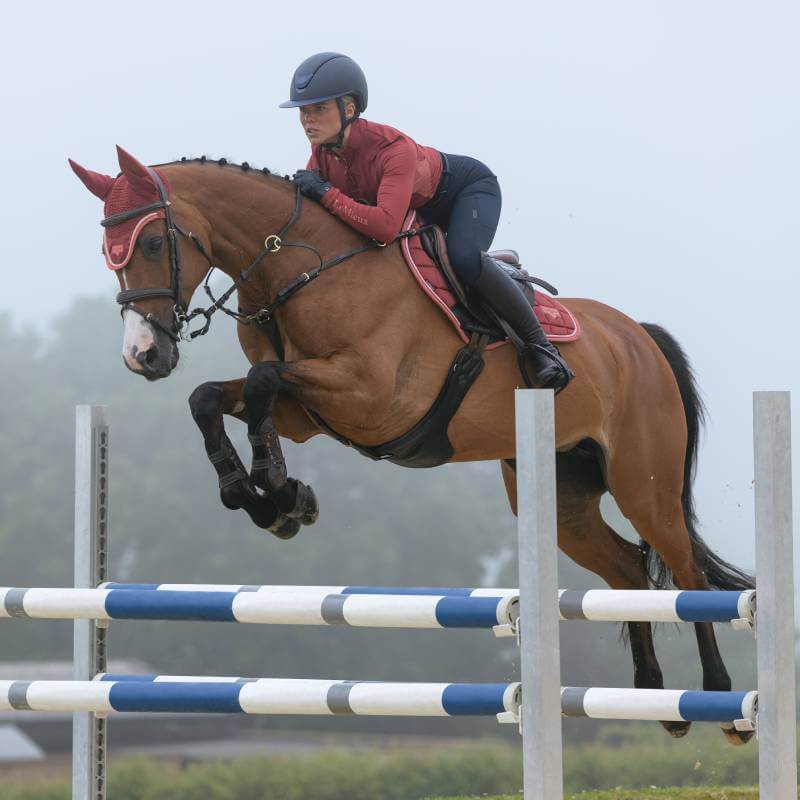 Rider jumps fence on horse using LeMieux Loire Classic Close Contact Square Russet saddle pad.
