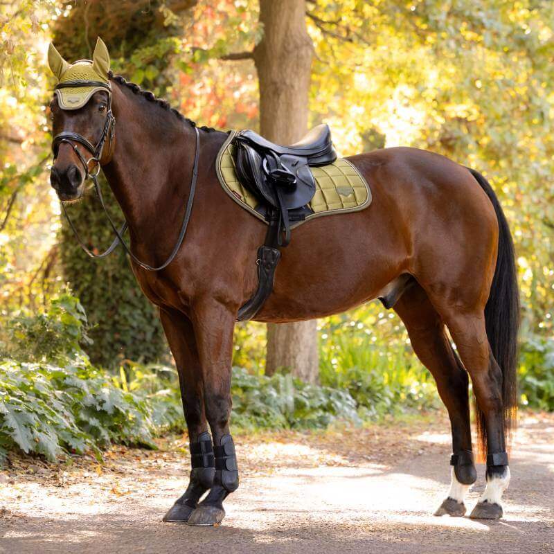 Brown horse with braided mane, LeMieux Loire Classic saddle pad, stands on a leafy path.