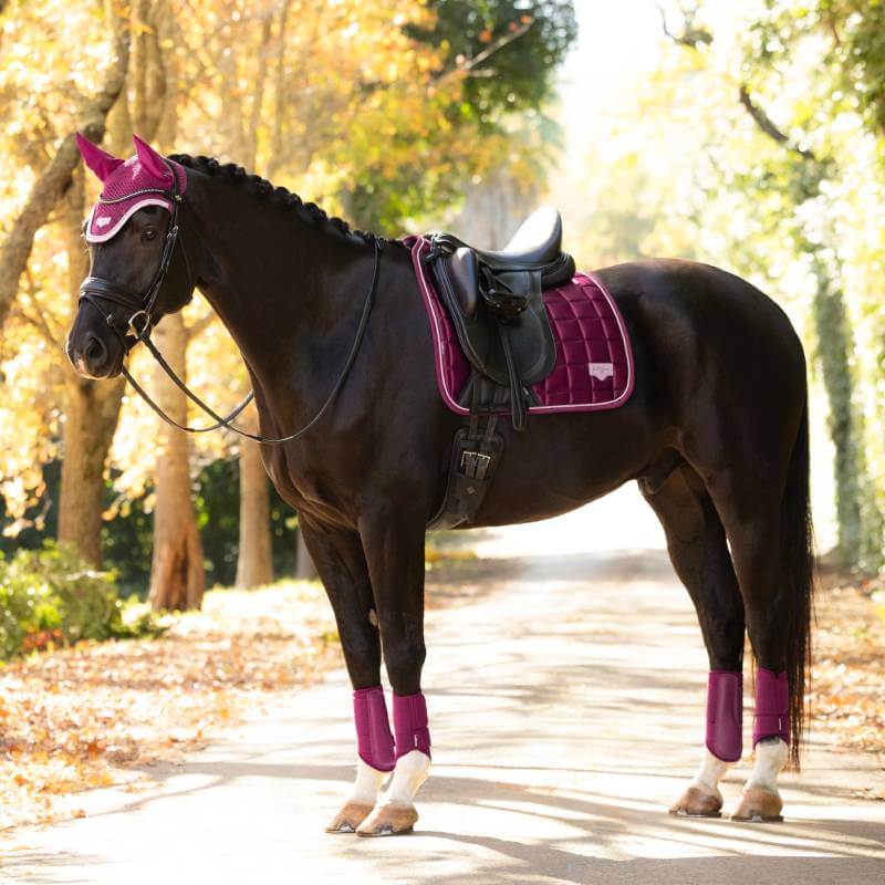 LeMieux Loire Classic Dressage Square Blackberry