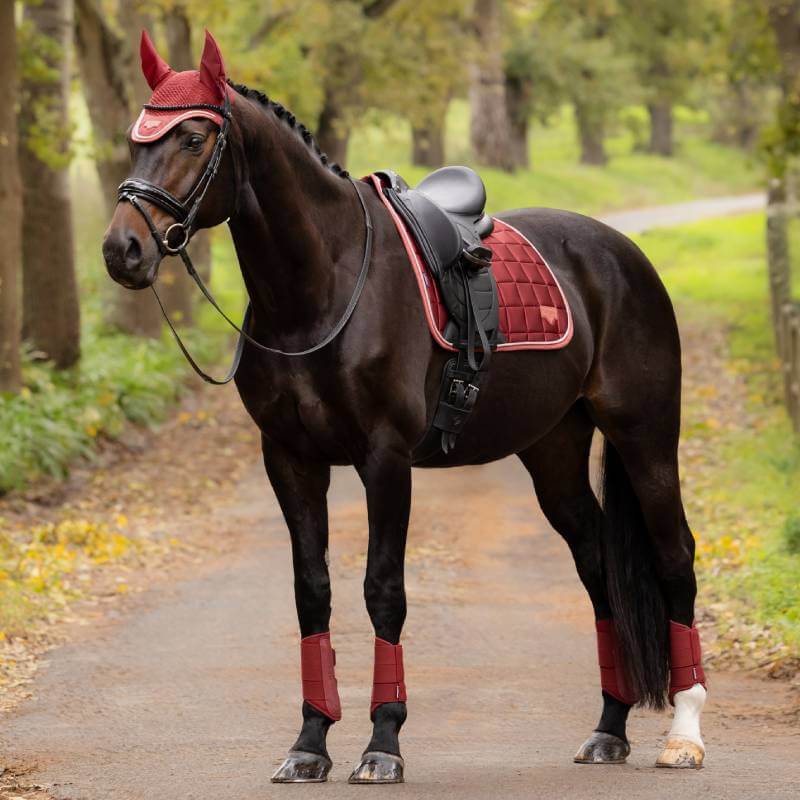 Dark horse with LeMieux Loire Classic Dressage Square Russet, framed by lush trees and greenery.