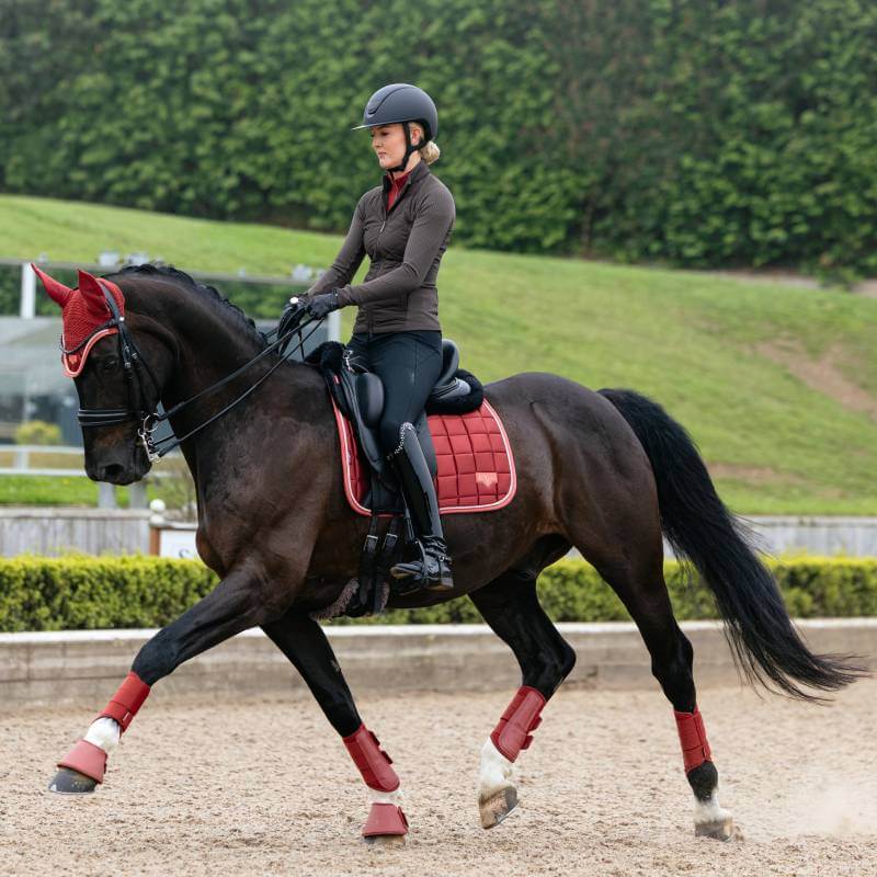Person rides a dark horse in an arena with LeMieux Loire Dressage Square Russet and red tack.