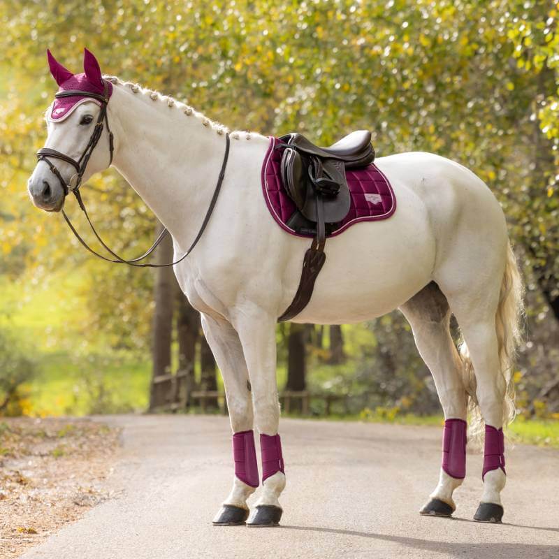 LeMieux Loire Classic GP Square Blackberry