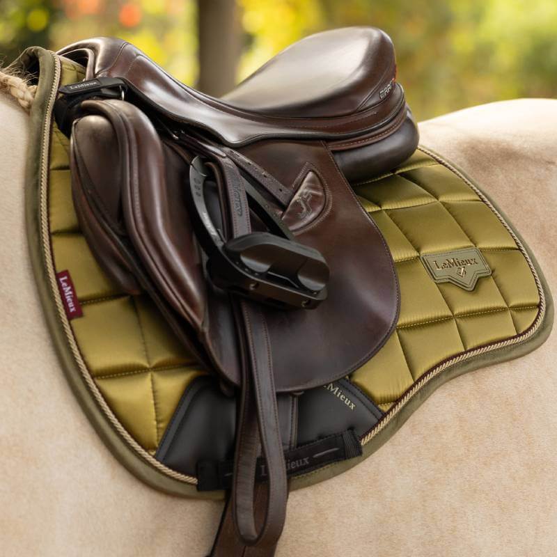 LeMieux Loire Classic GP Square Gooseberry