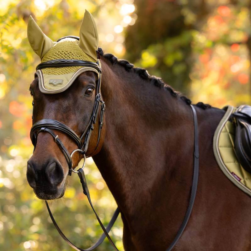 Brown horse in sunlight wearing LeMieux Loire Fly Hood Gooseberry by LeMieux outdoors.