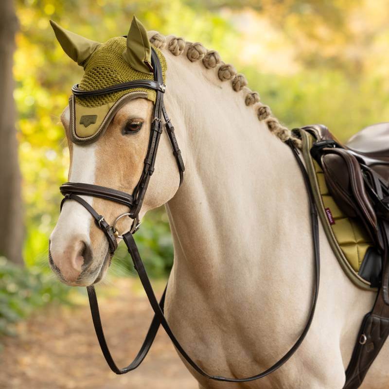 A light horse with braided mane wears a green LeMieux Loire Fly Hood Gooseberry outdoors.