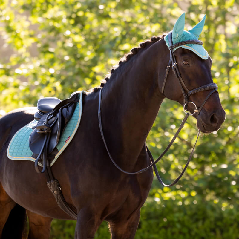 Lemieux Classic Fly Hood Lagoon-Pet n Pony-LeMieux