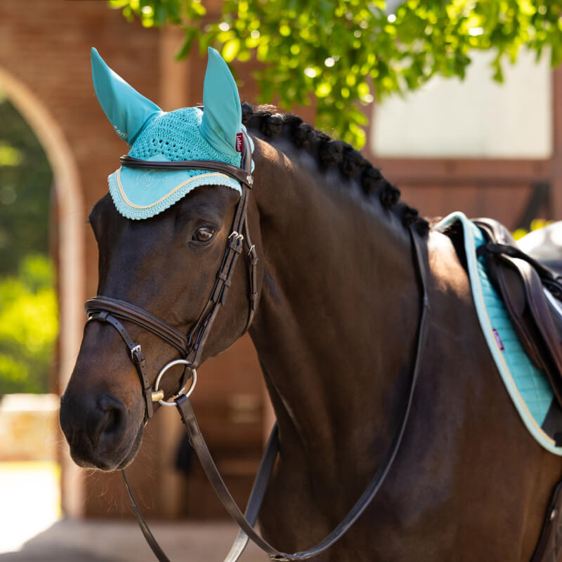 Lemieux Classic Fly Hood Lagoon-Pet n Pony-LeMieux