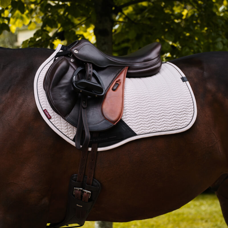 A close-up of a brown horse with a LeMieux Essence Eurojump Square Stone saddle pad outdoors.