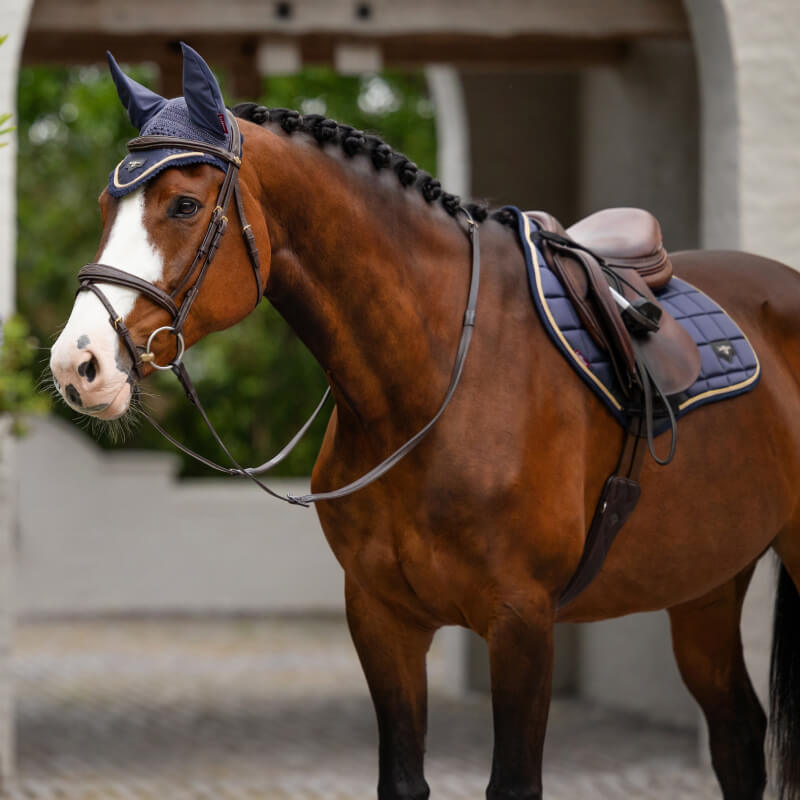 Lemieux Loire Fly Hood Dusk