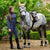 Lemieux Young Rider Orla Pull Ons Dusk-Pet n Pony-LeMieux