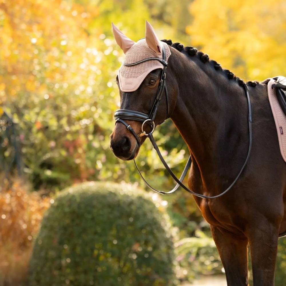 LeMieux Essence Fly Hood Wild Rose