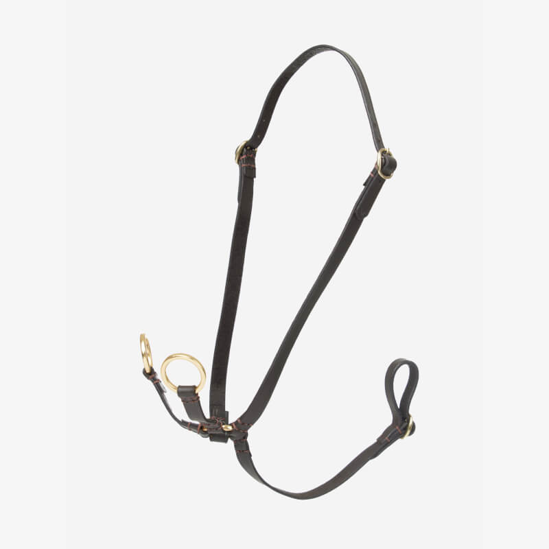 LeMieux Hobby Horse Running Martingale Brown with brass rings, shown on white background.
