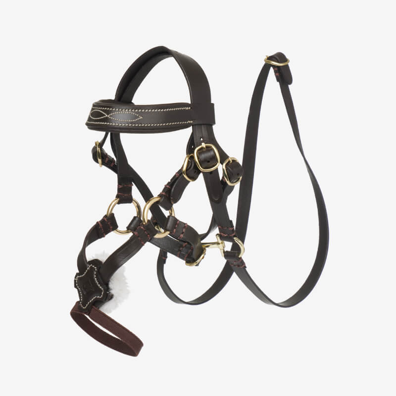 LeMieux Toy Pony Grackle Bridle Brown by LeMieux with brass buckles and white stitching.