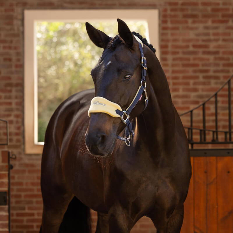 Lemieux Vogue Headcollar &amp; Leadrope Mimosa