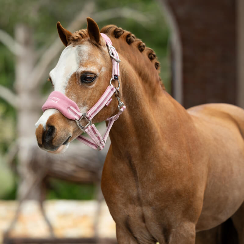 Lemieux Mini Vogue Headcollar &amp; Leadrope Peony