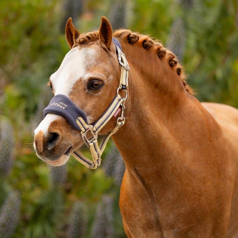 Lemieux Mini Vogue Headcollar &amp; Leadrope Dusk