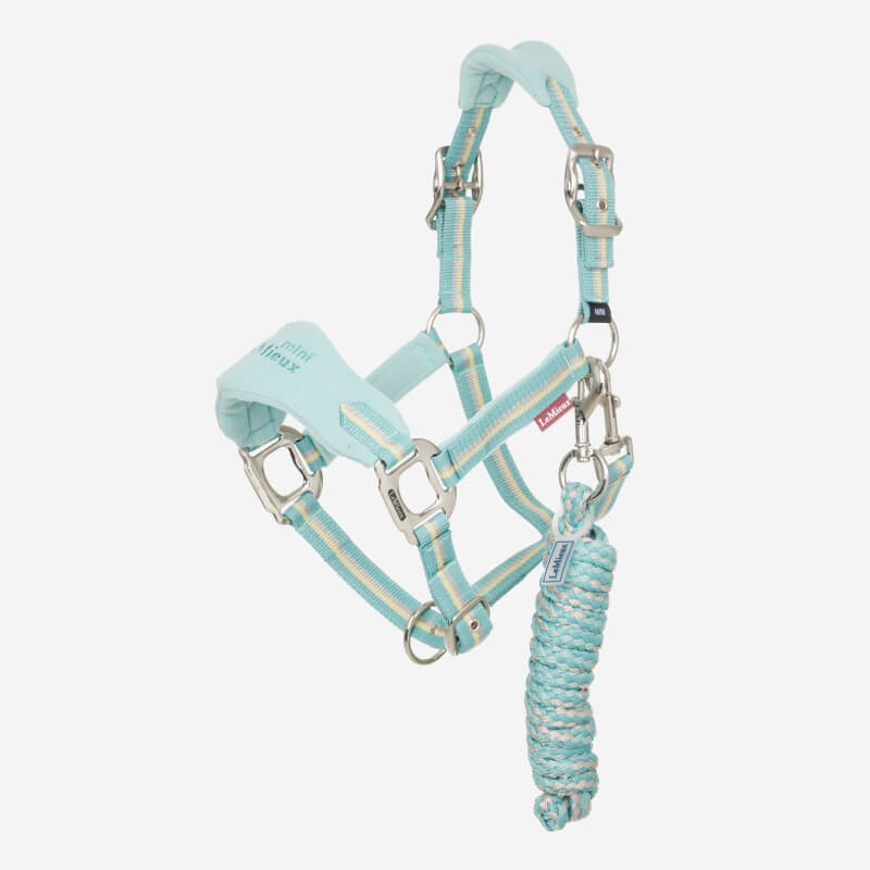 Lemieux Mini Vogue Headcollar & Leadrope Aqua