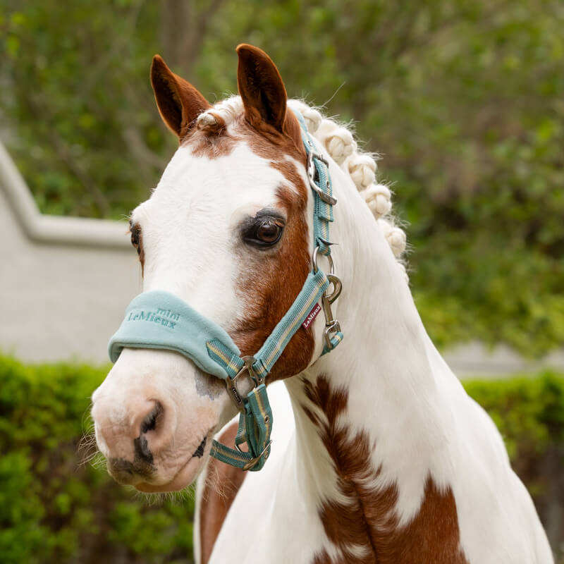 Lemieux Mini Vogue Headcollar &amp; Leadrope Aqua