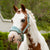 Lemieux Mini Vogue Headcollar & Leadrope Aqua