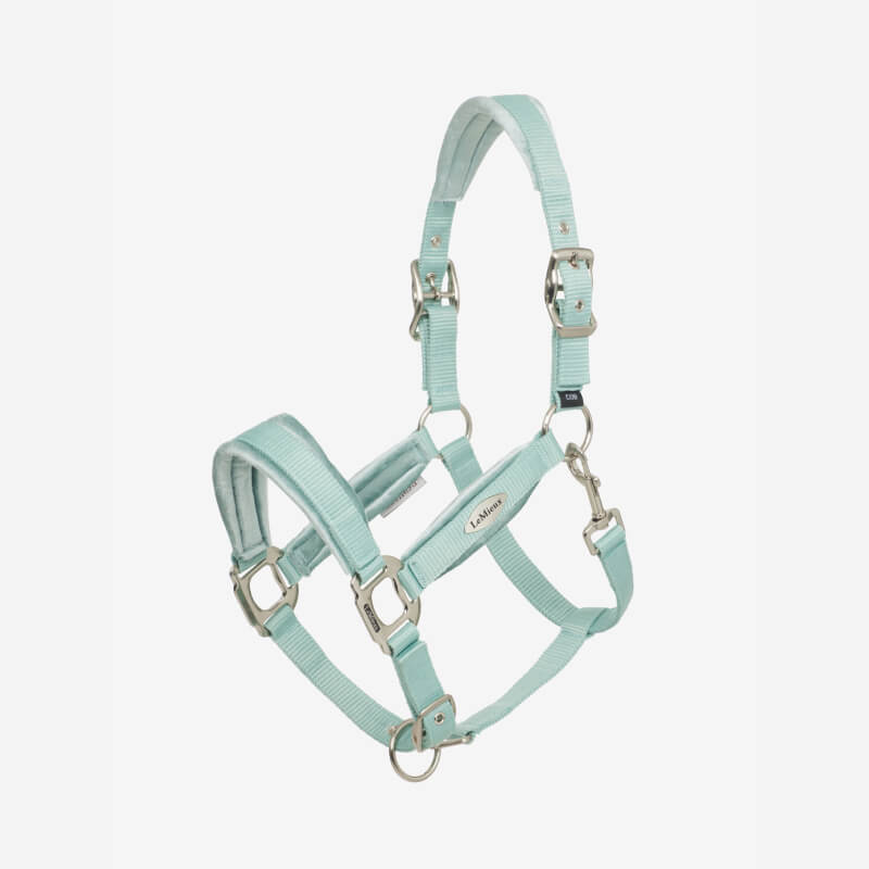 Lemieux Versailles Headcollar Aqua