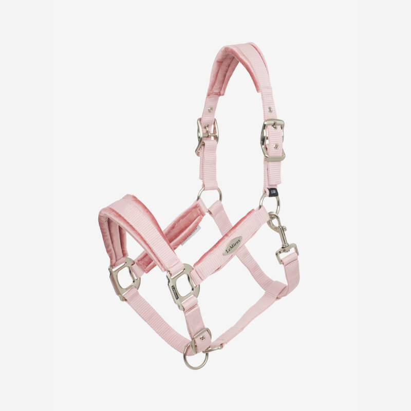 Lemieux Versailles Headcollar Blossom