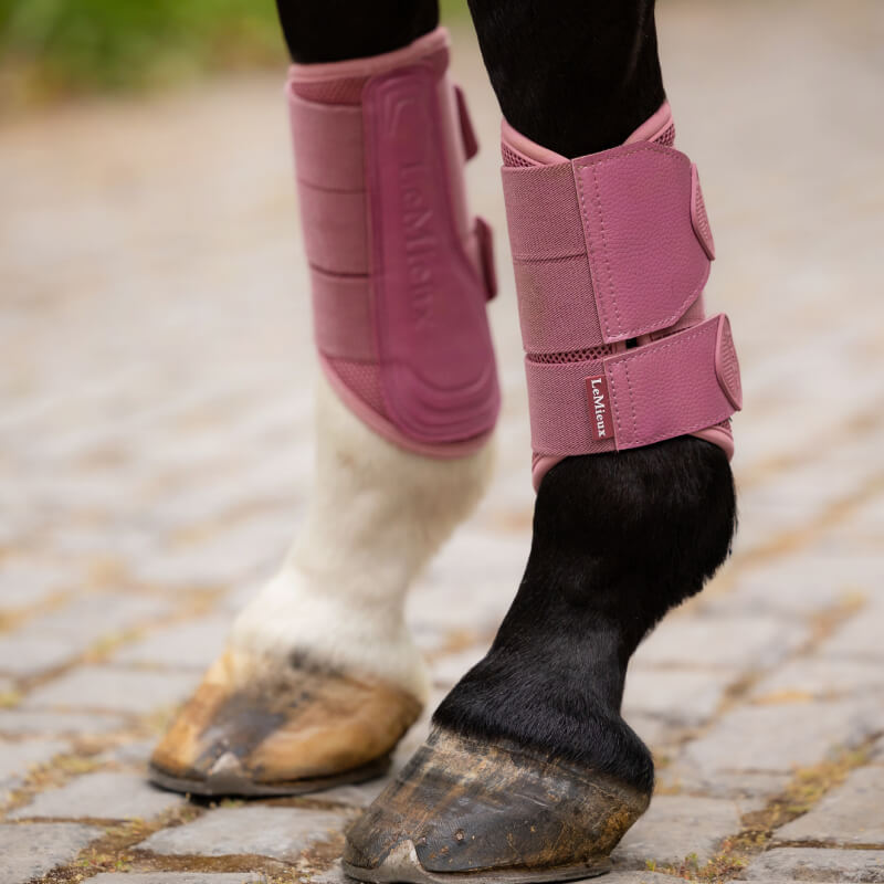 Lemieux Arika Mesh Brushing Boots Peony-Pet n Pony-LeMieux
