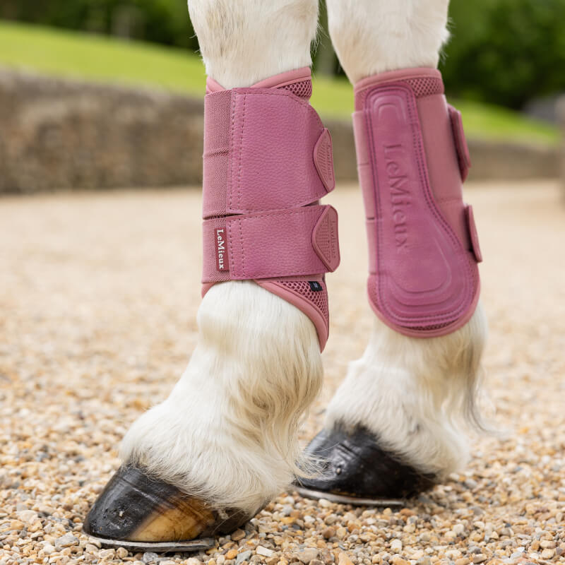 Lemieux Arika Mesh Brushing Boots Peony-Pet n Pony-LeMieux