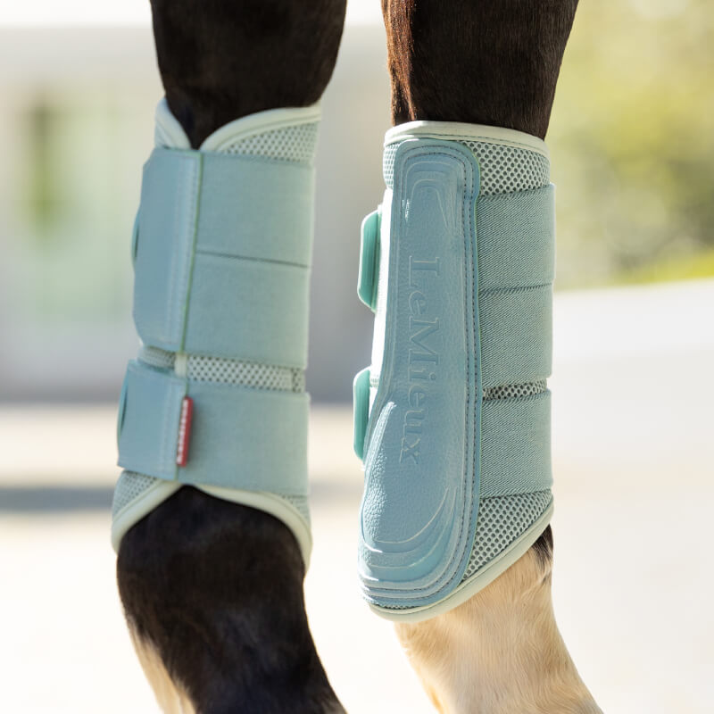 Close-up of horse legs in LeMieux Arika Mesh Brushing Boots Aqua outdoors.