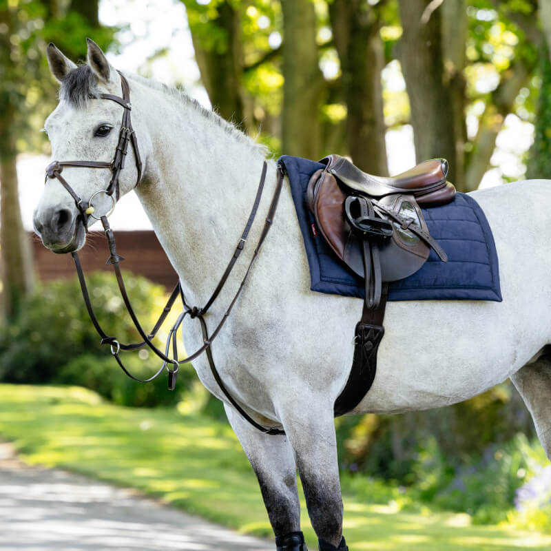 White horse with brown bridle, LeMieux Pillow Pad Navy, and brown leather saddle outdoors.