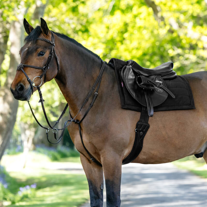 Brown horse with bridle and black LeMieux Pillow Pad stands on a sunlit path with trees.