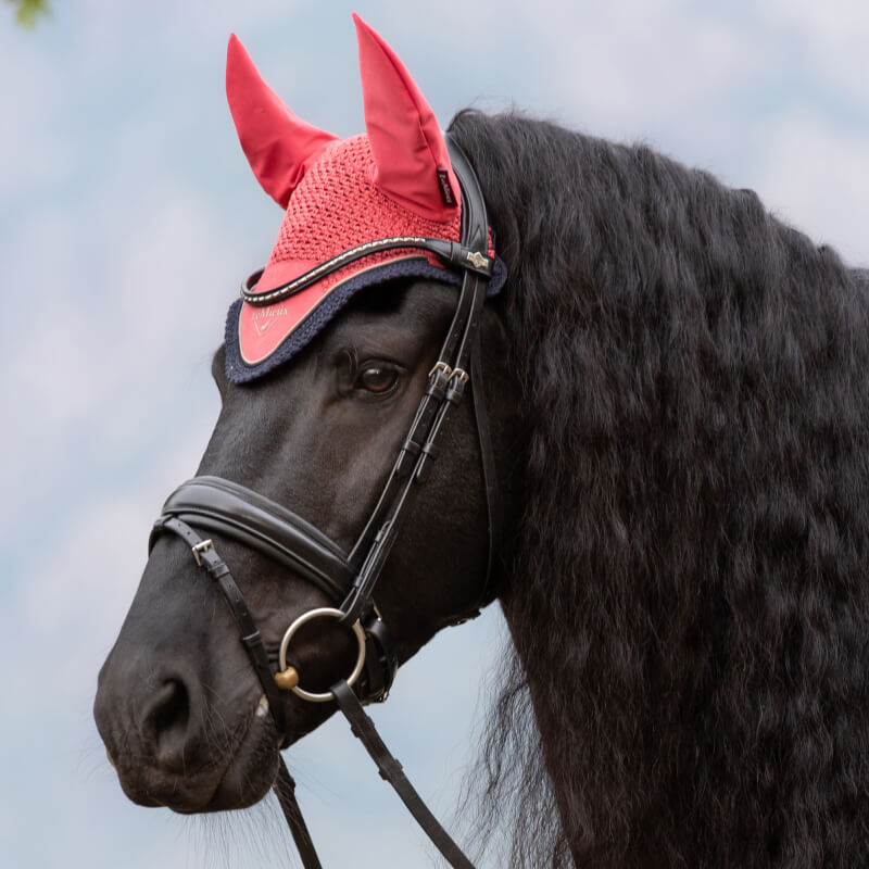 LeMieux Classic Fly Hood Cranberry