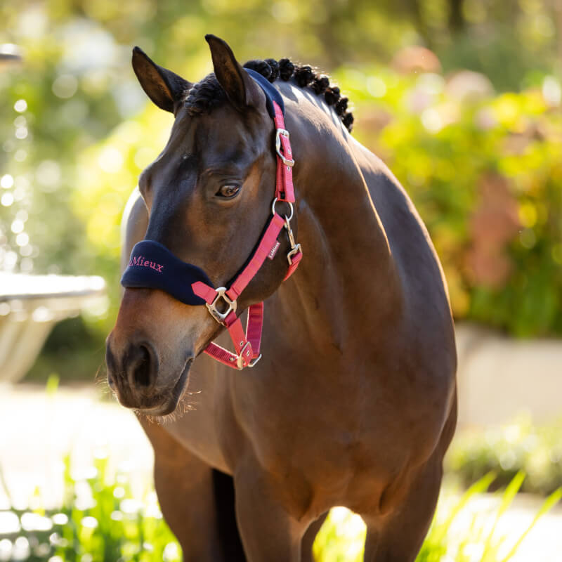 LeMieux Vogue Headcollar & Leadrope Cranberry