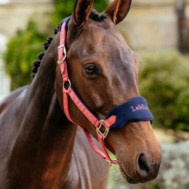 LeMieux Vogue Headcollar & Leadrope Cranberry