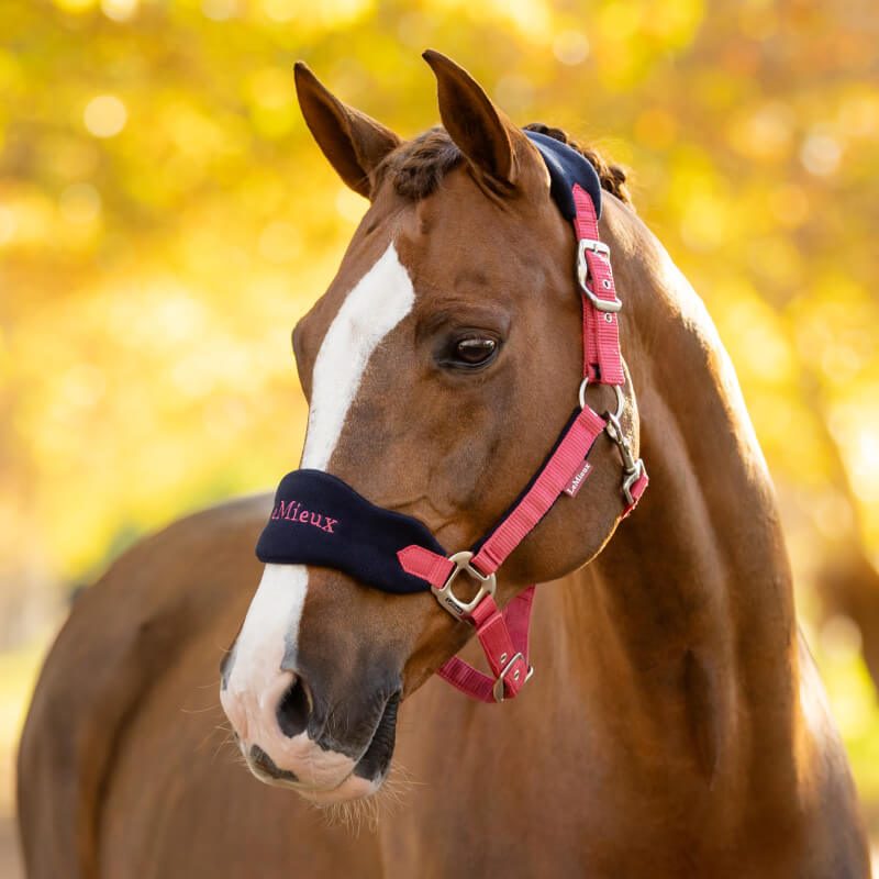 LeMieux Vogue Headcollar & Leadrope Cranberry