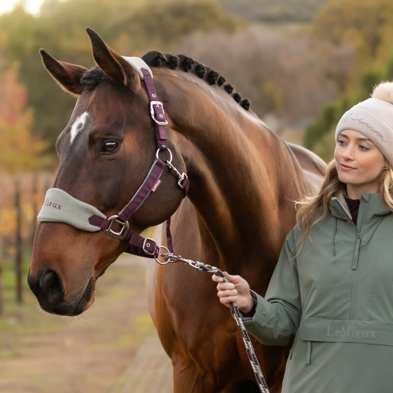 LeMieux Vogue Headcollar &amp; Leadrope Damson