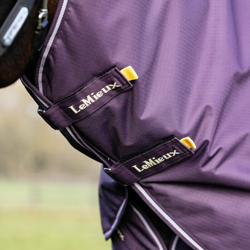 LeMieux Arika Ripstop Medium/Light Weight Detach a Neck 100g Turnout Rug Juniper