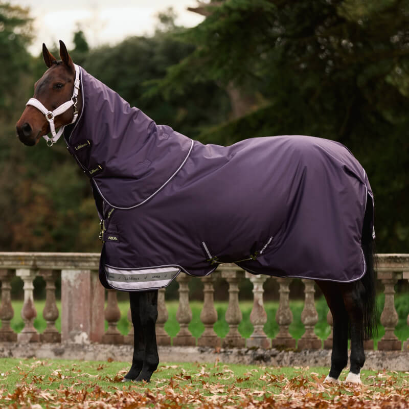 LeMieux Arika Ripstop Medium/Light Weight Detach a Neck 100g Turnout Rug Juniper