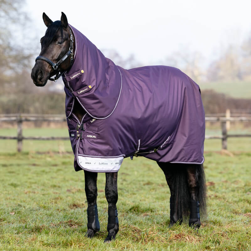 LeMieux Arika Ripstop Medium/Light Weight Detach a Neck 100g Turnout Rug Juniper
