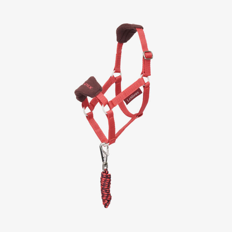 LeMieux Hobby Horse Vogue Headcollar Cranberry with leadrope, by LeMieux, on white background.