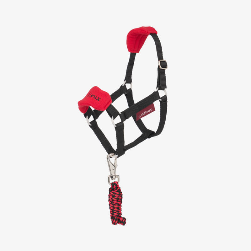 LeMieux Hobby Horse Vogue Headcollar Chilli—stylish headcollar for hobby horses.