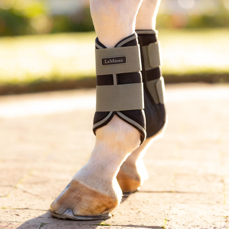 LeMieux Grafter Brushing Boots Rosemary