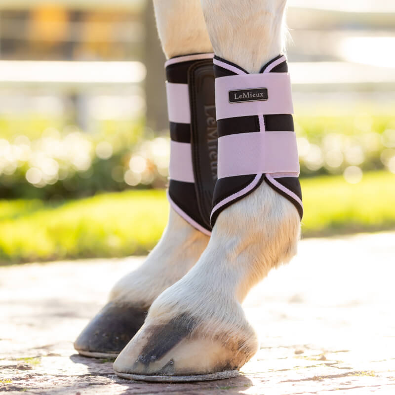 Close-up of a horse's legs in LeMieux Grafter Brushing Boots Lilac outdoors.