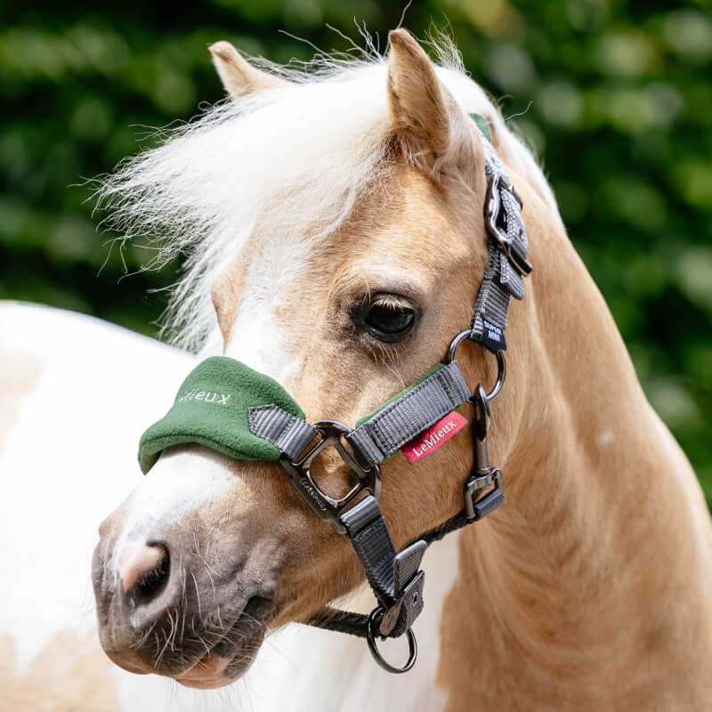 Palomino pony in a LeMieux Mini Vogue Headcollar & Leadrope Hunter Green, standing outdoors.