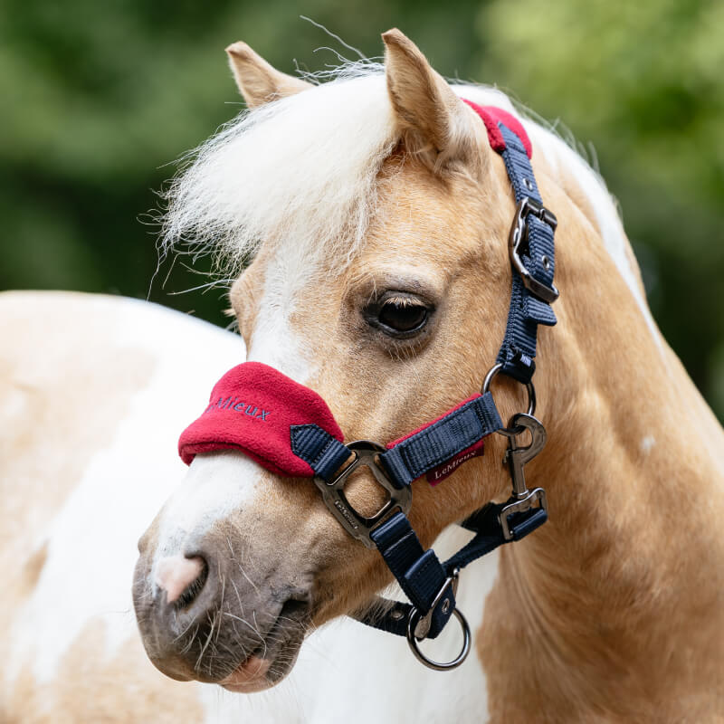 A light brown and white pony in a LeMieux Mini Vogue Headcollar &amp; Leadrope Burgundy stands outdoors.