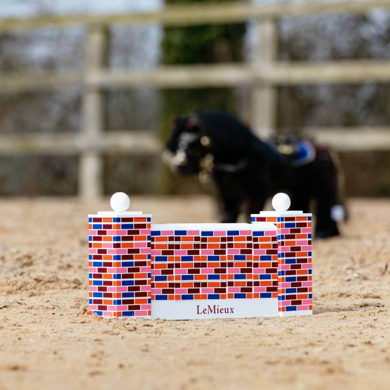 LeMieux Toy Pony Puissance Wall in a sandy arena with a black pony blurred in the background.