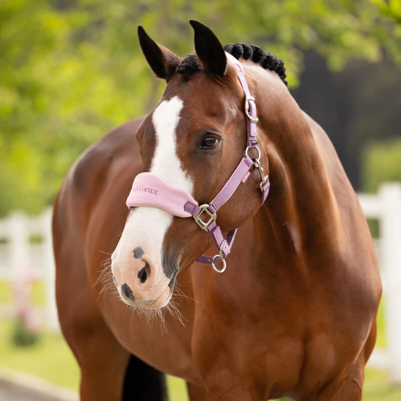 Brown horse in a LeMieux Vogue Headcollar &amp; Leadrope Mallow stands by a white fence outdoors.