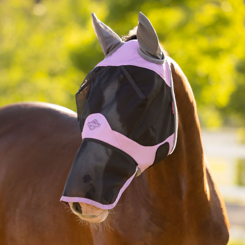 Brown horse enjoys comfort and UV protection in a LeMieux Visor-Tek Fondant fly mask outdoors.