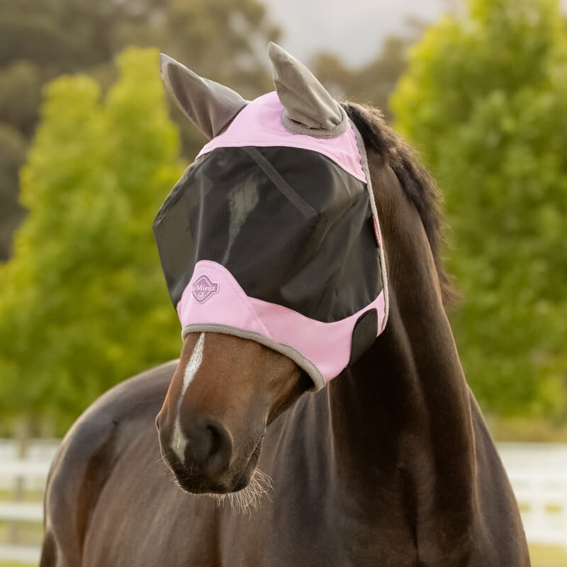 A brown horse wears a pink LeMieux Visor-Tek Half Fly Mask Fondant for UV protection outdoors.